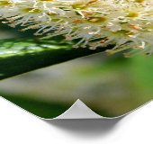 のまわりに ポスター (角)