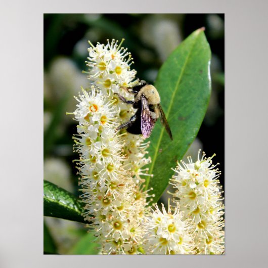 のまわりに ポスター (正面)