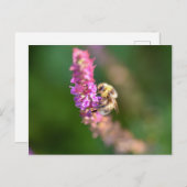 のまわりに ポストカード (正面/裏面)