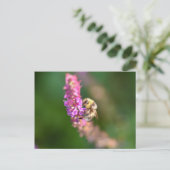 のまわりに ポストカード (スタンド正面)