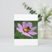 のまわりに ポストカード (スタンド正面)