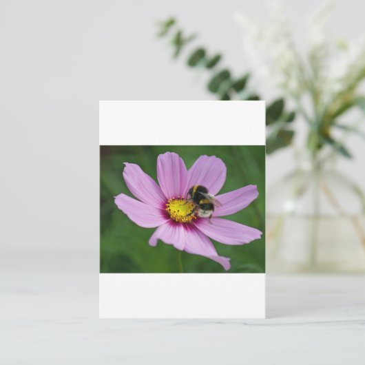 のまわりに ポストカード (スタンド正面)