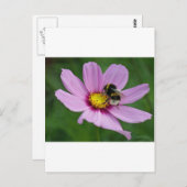 のまわりに ポストカード (正面/裏面)