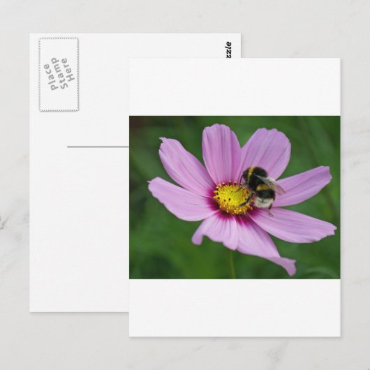 のまわりに ポストカード (正面/裏面)