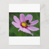 のまわりに ポストカード (正面)