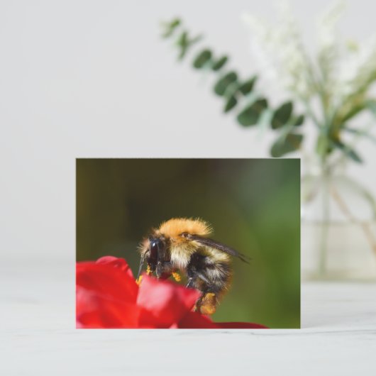 のまわりに ポストカード (スタンド正面)