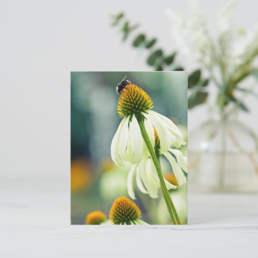 のまわりに ポストカード (スタンド正面)