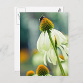 のまわりに ポストカード (正面/裏面)