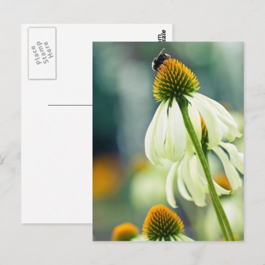 のまわりに ポストカード (正面/裏面)