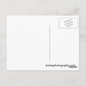 のまわりに ポストカード (裏面)