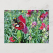 のまわりに ポストカード (正面)