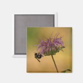 のまわりに マグネット (正面/裏面)