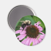 のまわりに マグネット (正面/裏面)