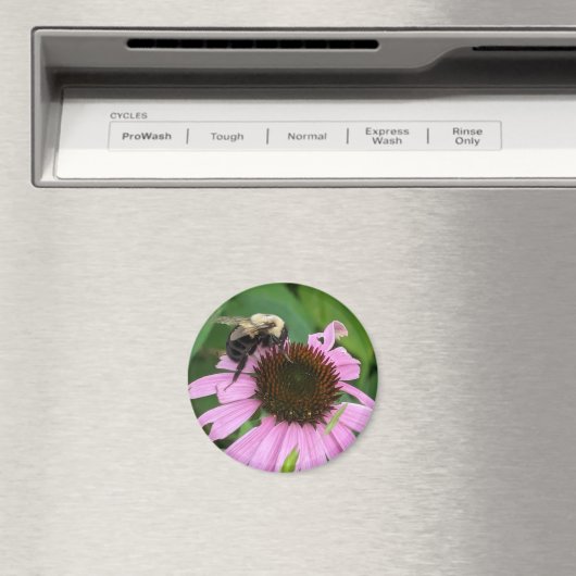 のまわりに マグネット (インサイチュ (食洗機))