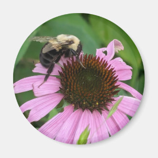 のまわりに マグネット