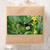 のまわりに ラベル (インサイチュ)