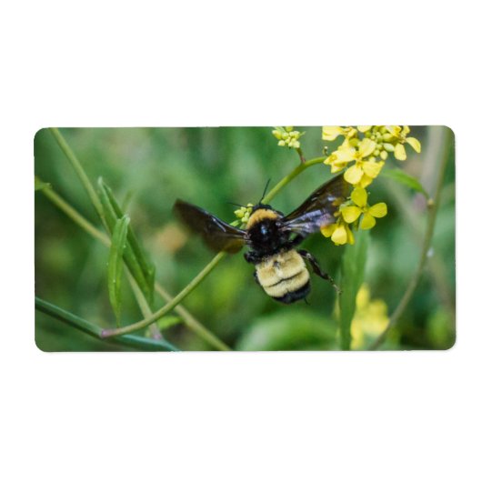 のまわりに ラベル (正面)