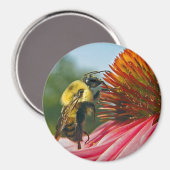 のまわりに(空ハート) マグネット (正面/裏面)