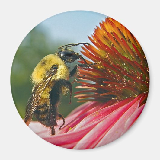 のまわりに(空ハート) マグネット (正面)