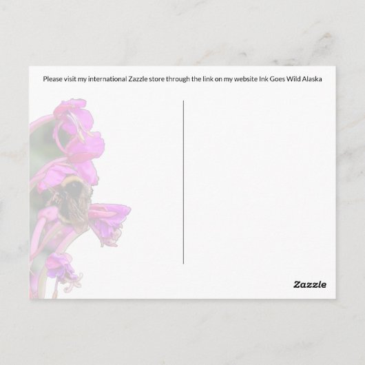 のまわりにFireweed – はがき (裏面)