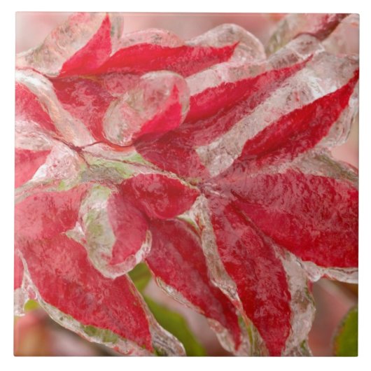 〜のを覆う冬の葉氷嵐 タイル (正面)