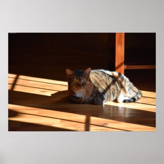 のんびりとした日々 ポスター (正面)