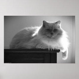 のんびりとした日々 ポスター