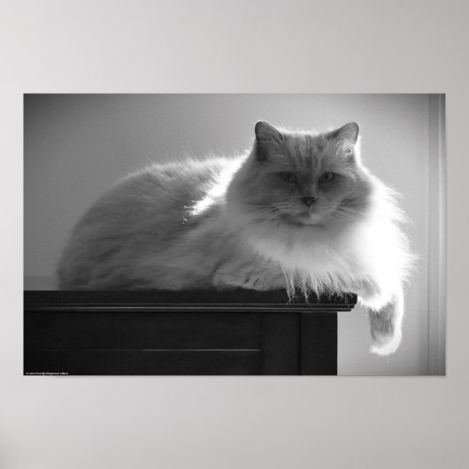 のんびりとした日々 ポスター (正面)