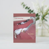 のんびり猫の楽しいポストカード - 昼寝 ポストカード (スタンド正面)