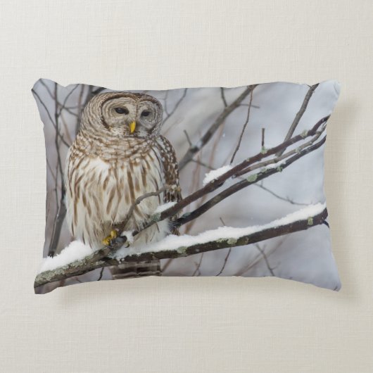 のアメリカフクロウ軽い降雪 アクセントクッション (正面)