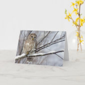 のアメリカフクロウ軽い降雪 カード (黄色い花)