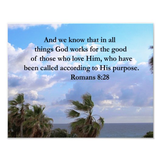 のインスパイアローマ8:28 フォトプリント            (正面)