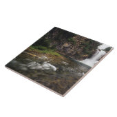 のイーグランニングル滝、トリック滝 タイル (側面)