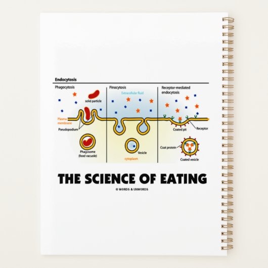 のエンドサイトー食べシス生物学のユーモアの科学 プランナー手帳 (裏面)