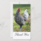 のオンドリの写真カードありがとう サンキューカード (正面)