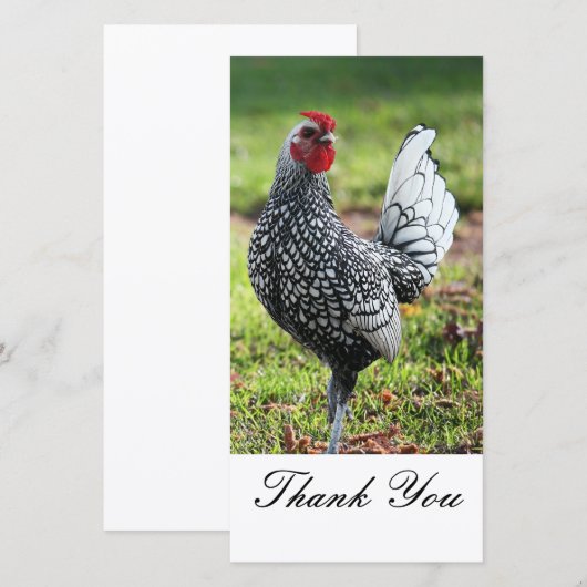 のオンドリの写真カードありがとう サンキューカード (正面/裏面)