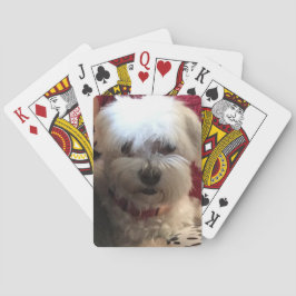 のカード遊のマルチーズ トランプ