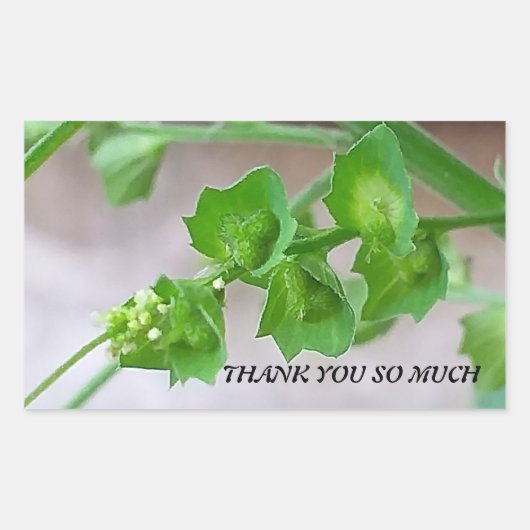 のステッ感謝していク 長方形シール (正面)