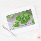 のステッ感謝していク 長方形シール (封筒)