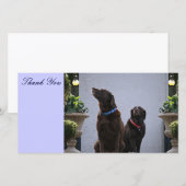 のチョコレート実験室ありがとう サンキューカード (正面/裏面)