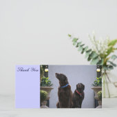 のチョコレート実験室ありがとう サンキューカード (スタンド正面)