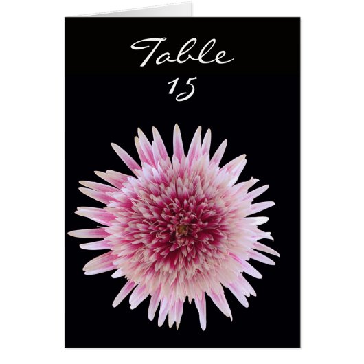 のテーブ結婚ルテンツ番号カード – カスタム番号 (正面)