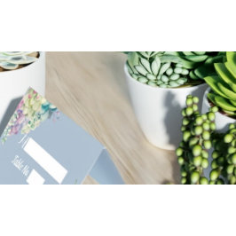 のテーブ結婚ル番号エスコート水色の多肉類