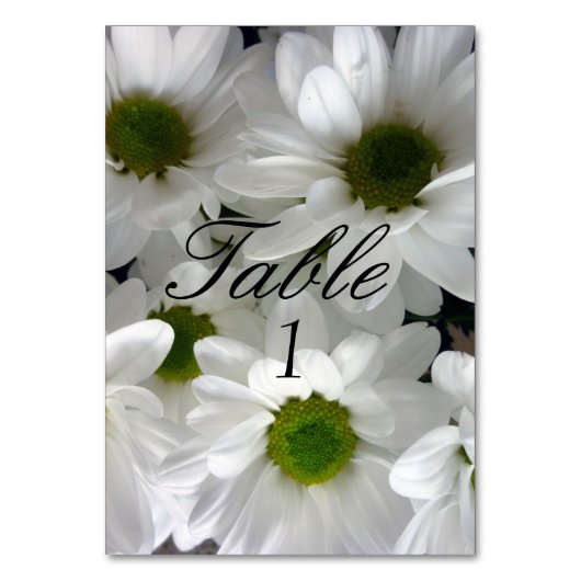 のテーブ結婚ル番号カード白デイジー花 テーブルナンバー (裏面)