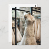 のド結婚レス、ポストクロッシング葉書 ポストカード (正面/裏面)