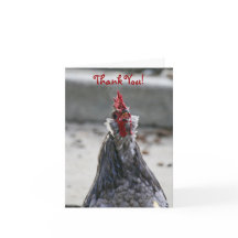 のブランク、オンドリありがとう