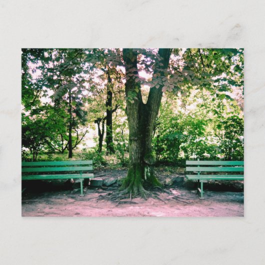 のリラックスはがき ポストカード (正面)