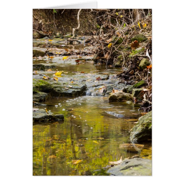 のリラックス北の服 (正面)