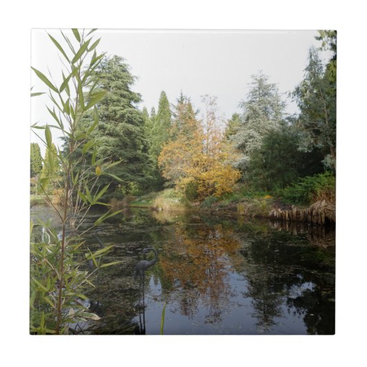 のリラックス庭のシーン写真、美しい木… タイル (正面)