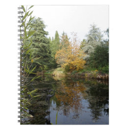 のリラックス庭のシーン写真、美しい木… ノートブック